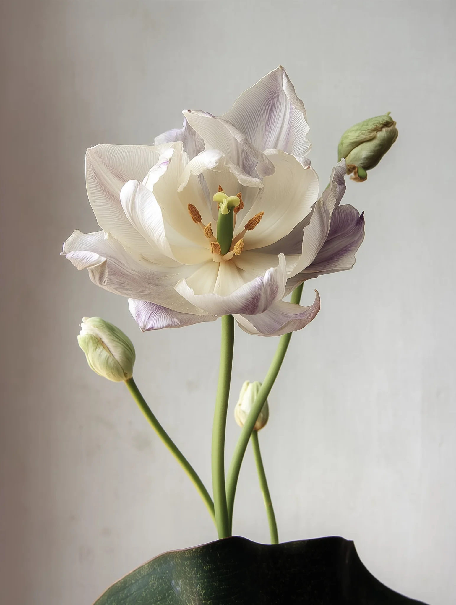 nfc0025_39284_httpss.mj.runlRJ603Vw6aM_a_single_pastel-colored__10c2bafb-24b9-46f1-80ee-a8a1e720f86d